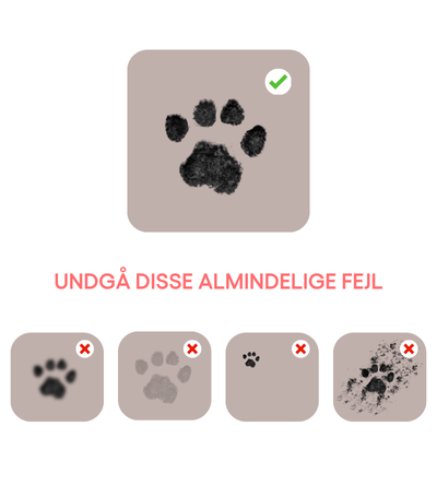 Undgå disse almindelige fejl