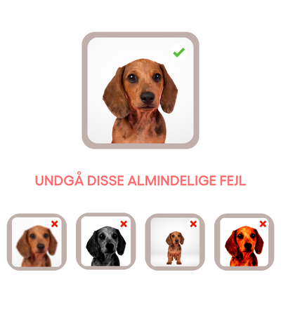 Undgå disse almindelige fejl
