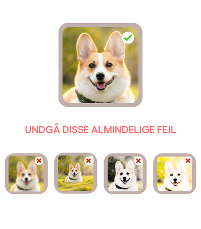 Undgå disse almindelige fejl