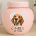 Custom Ceramic Dog Urn with Photo – Personalised Pet Cremation Urn for Ashes with Name, Dates & Heart Tribute