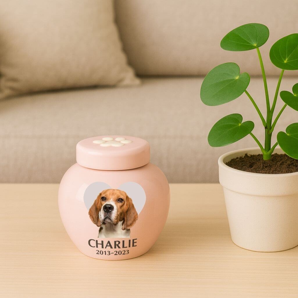Custom Ceramic Dog Urn with Photo – Personalised Pet Cremation Urn for Ashes with Name, Dates & Heart Tribute