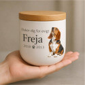 Personalised Ceramic Dog Urn with Photo – Pet Cremation Urn for Ashes with Name, Dates & Tribute