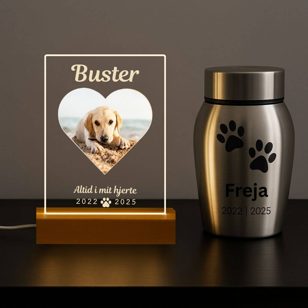 Personalised Dog Memorial Light with Photo – Rectangular LED Pet Tribute Lamp with Engraved Name & Dates on Acrylic Plaque