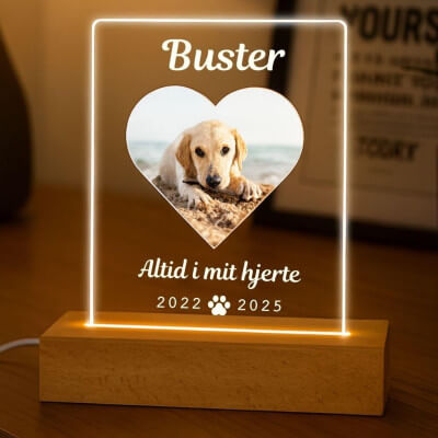 Personalised Dog Memorial Light with Photo –...