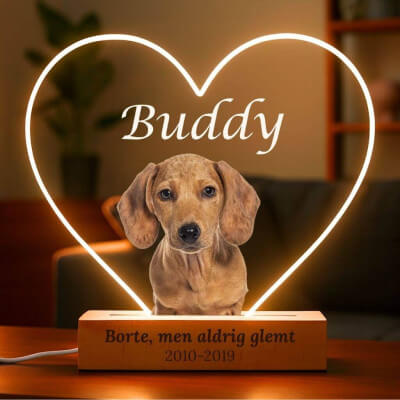Personalised Dog Memorial Light with Photo –...
