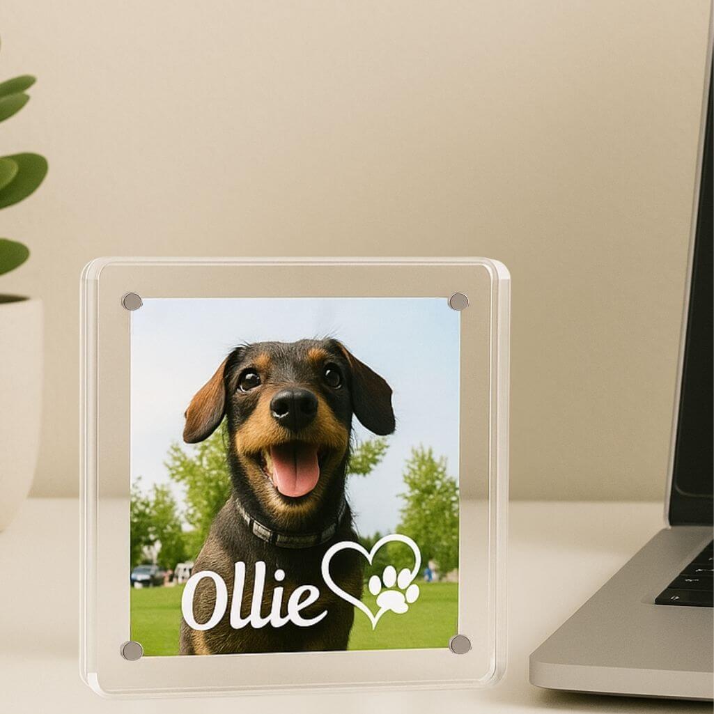 Personalised Acrylic Dog Memorial Frame – Custom Pet Photo Plaque with Name & Heart Paw Design